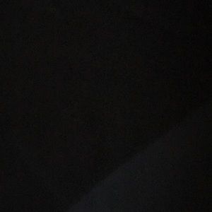 Meet your Posher, Shamika